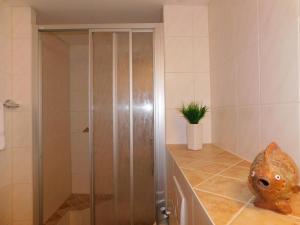 a shower with a glass door in a bathroom at Sterntaucher Bungalow App 5 in Ahrenshoop