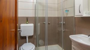 a bathroom with a shower and a toilet and a sink at Tolcsvai Fogadó in Tolcsva +40 photos