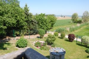 a garden with plants and flowers in a field at Altes Backhaus 2 in Althagen