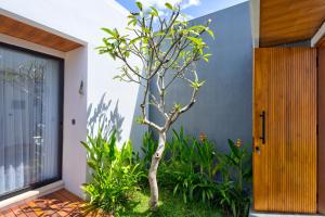 a small tree in a garden next to a building at Tapan Harmony Villa Ubud in Ubud