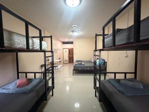 a room with three bunk beds and a hallway at Khaosok city hostel in Khao Sok National Park +59 photos