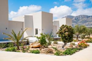 a white house with mountains in the background at Aros Luxury Villas in Karpathos