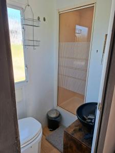a small bathroom with a toilet and a shower at Villavagn in Gärds Köpinge