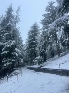 a snow covered park with trees and a road at Agriturismo Relais Kloe in Castel Boglione