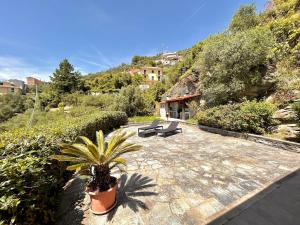 a patio with a potted plant and a bench at COGO, Premium Private Villa Vista Mare in Cogorno