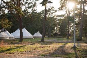 a group of white tents with trees and a street sign at Sandvikens Strandby in Katthammarsvik