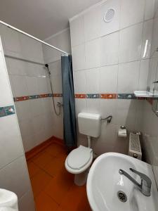 a bathroom with a toilet and a sink and a shower at Casa Scriitorilor in Olimp