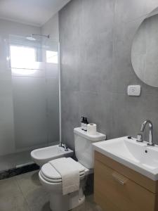 a bathroom with a toilet and a sink and a mirror at Departamentos Felice in Santa Rosa