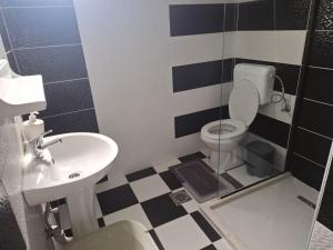 a bathroom with a toilet and a sink at Dara Apartmani in Donji Štoj +11 photos