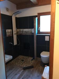 a bathroom with a shower and a toilet and a window at Ferme de la Clarée in Névache