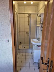 a bathroom with a shower and a sink at Ferienwohnung Lechner in Treffelstein +21 photos