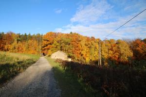 a dirt road with a barn in the middle of a forest at Ostoja in Ojców +10 photos