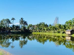 a view of a river with a house and palm trees at Boroli in Shaugaon