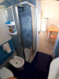 a small bathroom with a shower and a toilet at Via Piave 14 in Santa Cesarea Terme