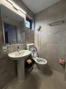a bathroom with a white toilet and a sink at Pensiunea Pluto Sulina in Sulina