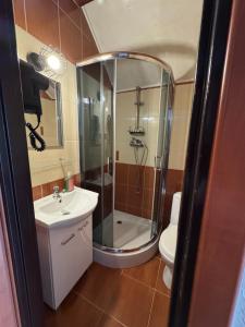 a bathroom with a shower and a sink and a toilet at Pokoje u Joli Polańczyk in Polańczyk +20 photos