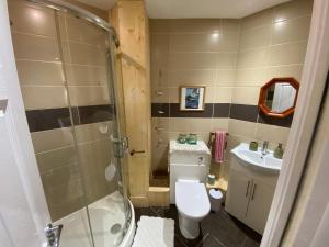 a bathroom with a shower and a toilet and a sink at The Fig Tree in Brecon +15 photos