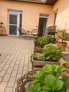 a patio with a bunch of plants and a grill at Penzion Lederer in Dolní Dunajovice