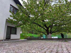 a tree in front of a white building with a tree at Hideout Guest House in Travnik