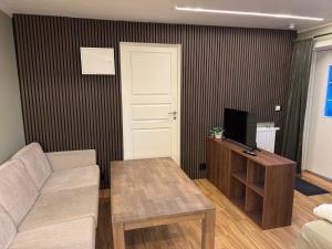 a living room with a couch and a tv at Smart mini apartment with kitchen in Åmot