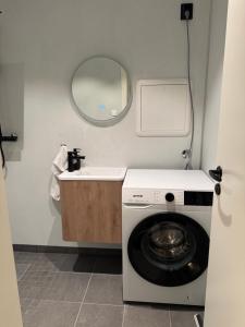 a washing machine in a bathroom with a sink at Smart mini apartment with kitchen in Åmot +9 photos