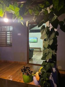 a living room with two plants on a table at Shanti Niketan in Kārwār
