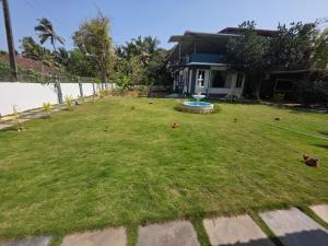 a yard with a bunch of birds on the grass at Shanti Niketan in Kārwār