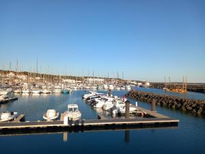 a group of boats docked in a marina at La Petite de Cayola in Talmont