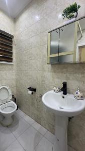 a bathroom with a sink and a toilet at Wenggies Apartment in Abuja