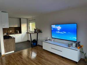 a living room with a large flat screen tv on a wall at Apartments Daisy in Banja Luka