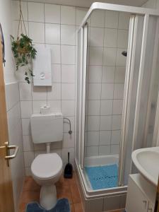 a small bathroom with a toilet and a shower at Ferienwohnung MOIN in Osdorf +11 photos