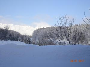 Ferienwohnung Löffelberger during the winter
