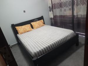 a bed with two pillows on it in a room at Ebenezer Apartment, Albert Cook Road in Kampala