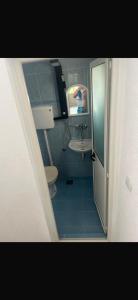 a person taking a picture of a bathroom with a toilet and sink at Rastoder 2 in Donji Štoj