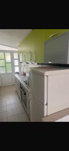 a kitchen with white appliances and green cabinets at Rastoder 2 in Donji Štoj