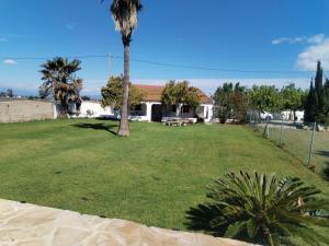 a yard with a palm tree in front of a house at Chalet Garcia in Deltebre
