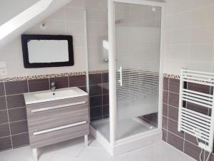 a bathroom with a shower and a sink at Gîte du Palais 3 étoiles in Châteauneuf-sur-Cher +6 photos