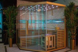 a shower stall in a room with two plants at Apartamenty Katowice by Lantier - Basen & Gabinet SPA in Bytom
