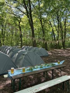a row of umbrellas in a park with trees at Munich Oktoberfest Accommodation Party Camping Experience in Munich