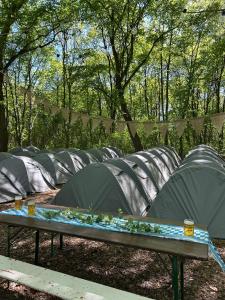 a row of gray tents in a garden at Munich Oktoberfest Accommodation Party Camping Experience in Munich