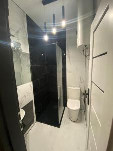 a bathroom with a white toilet and a shower at Appartamento Antares Piazza Fontana in Lignano Sabbiadoro +9 photos