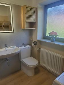 a bathroom with a toilet and a sink and a window at Apartament Flora in Mahlberg +26 photos