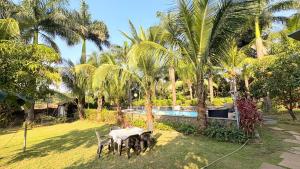 a group of dogs standing in the grass near a pool at Rustic Farm Villa in Chinchavli