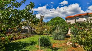 a garden with trees and plants in front of a house at Sonnengarten floor 2 in Marčana