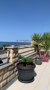 three plants in pots on a walkway near the ocean at Villa Luna Maris in Starigrad