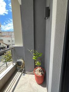 a plant in a pot sitting on a balcony at Apartment Debrova in Alexandroupoli