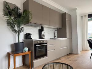 a kitchen with a potted plant sitting on a table at Penthouse Panorama Seeblick in Gmunden
