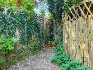 a garden with a wooden fence and potted plants at Serendipity in Molland