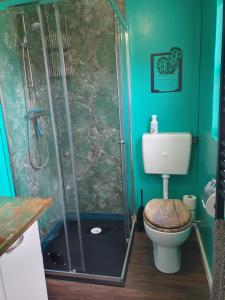a green bathroom with a toilet and a shower at dutchduochalet2 in Heenweg +79 photos