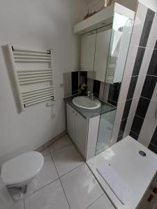 a bathroom with a sink and a toilet at Le Trois Mâts 5 in Thiers +18 photos